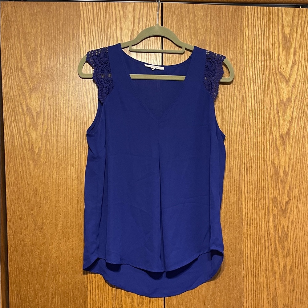 41 Hawthorn Elegant Blue Sleeveless Top